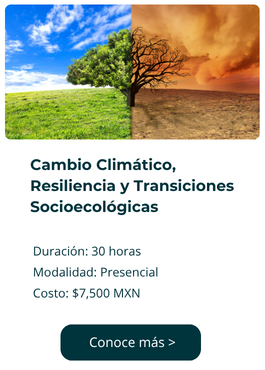Curso 1