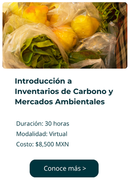 Curso 3
